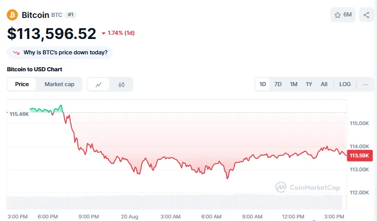 AD 4nXfzFOz4SH6kLcN5YJvNgp3Aq O5zeTpyHngPYFqkxqxB b GVOEhx2hBN hBXxAKQ8FyP6fCQs3R KEbSCgZYxSuSK9o Lt