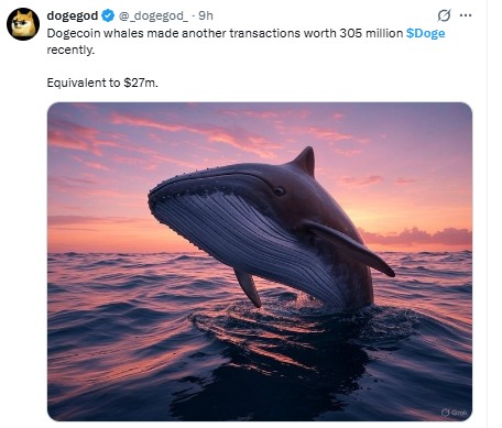 Dogecoin News Today Dogecoin News Today