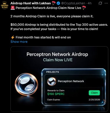 Perceptron Network airdrop claim