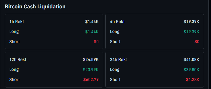 bitcoin cash liquidation data
