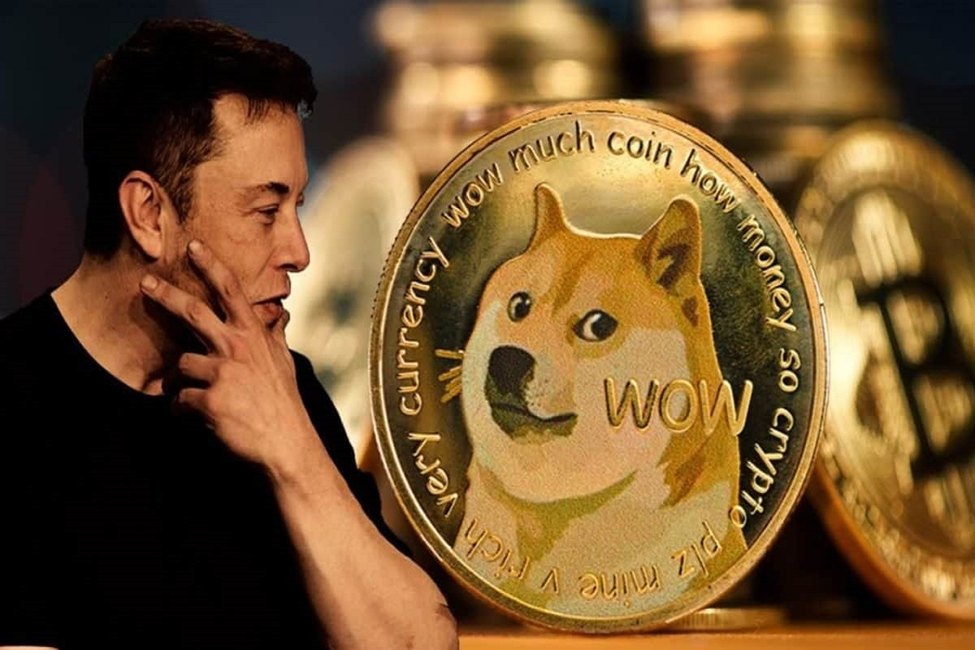 Elon Musk Expressed Fondness for Dogcoins Elon Musk Expressed Fondness for Dogcoins
