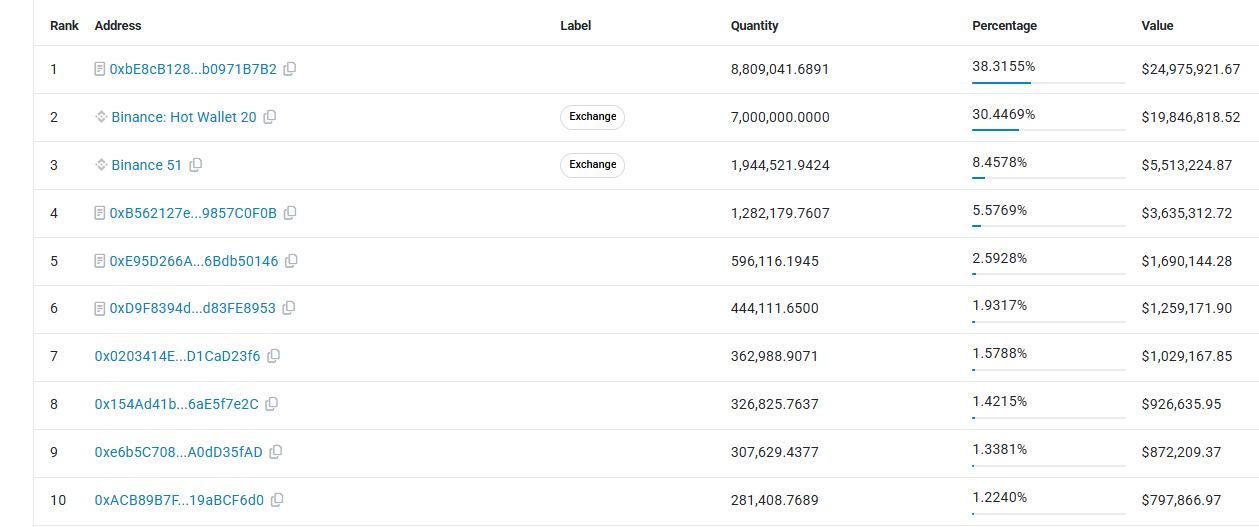 dexe top 10 holders