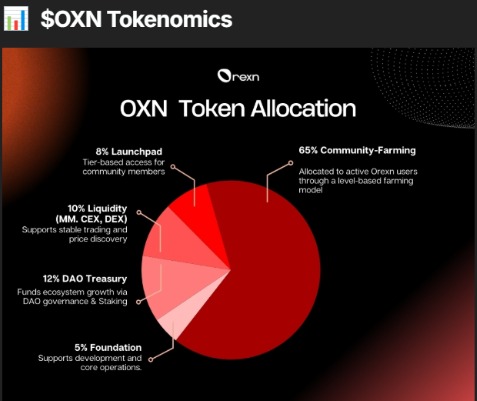 OXN Token Allocation
