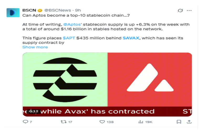 AVAX Report from BSC News AVAX Report from BSC News