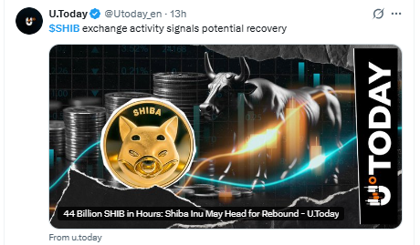 shiba inu exchange activity shiba inu exchange activity