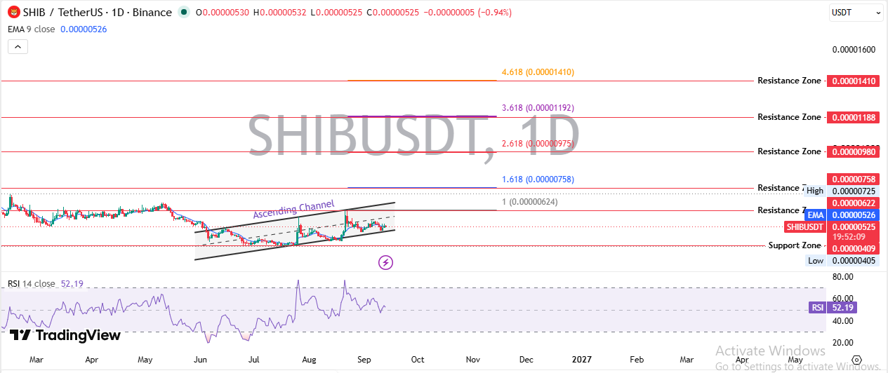 Technical Analysis: Daily Chart Technical Analysis: Daily Chart