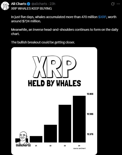 XRP WHALES KEEP BUYING