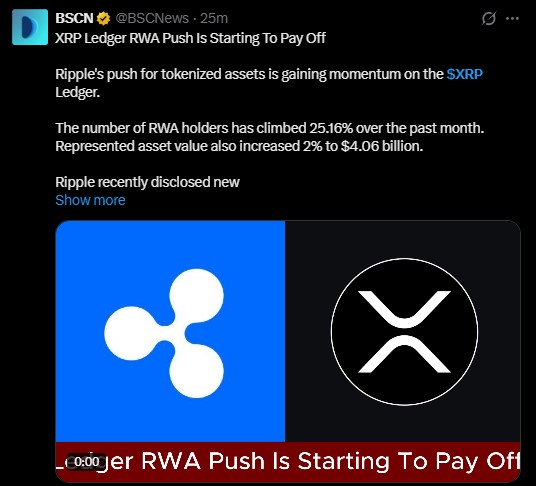 XRP LEDGER RWA pUSH XRP LEDGER RWA pUSH