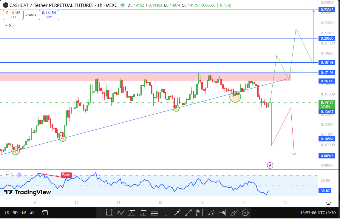 Cashcat technical support and resistance