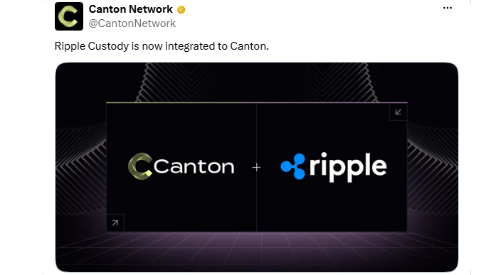Canton Ripple Custody