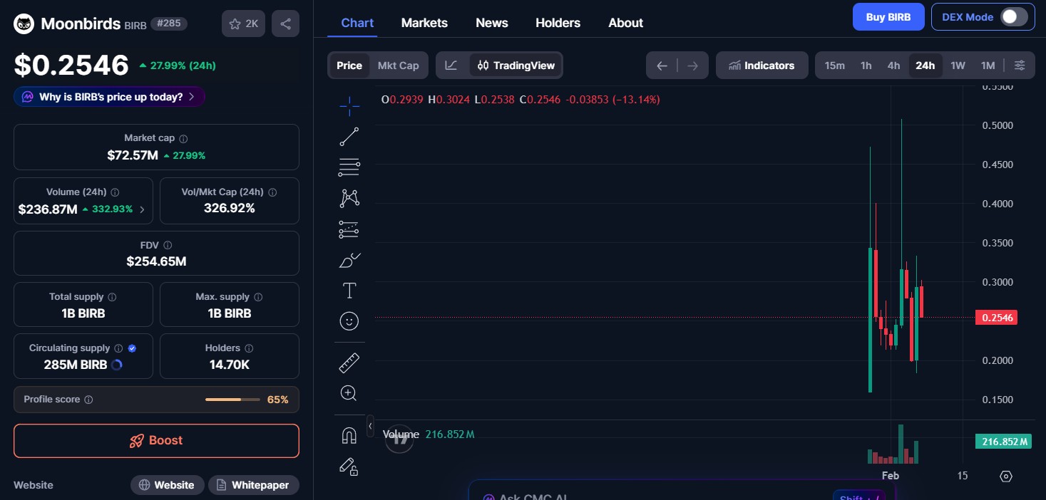 BIRB Token Price Today