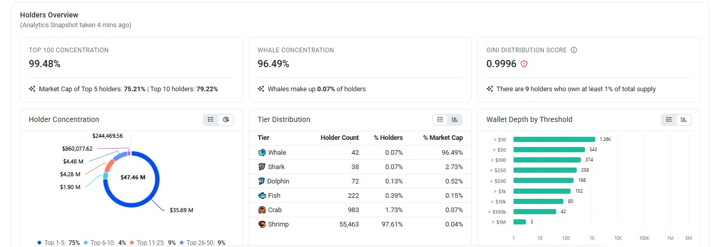 On-chain holder analytics