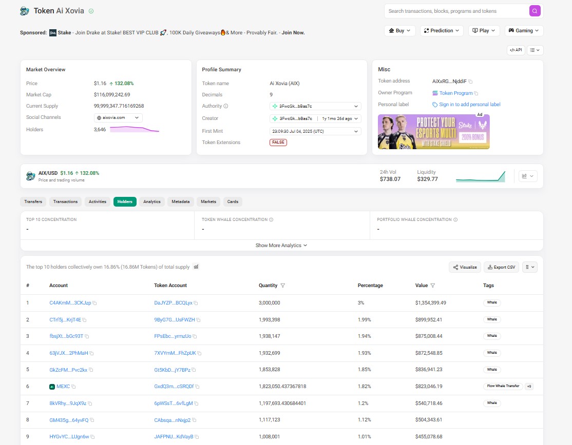 Solscan holder data shows the top ten wallets 