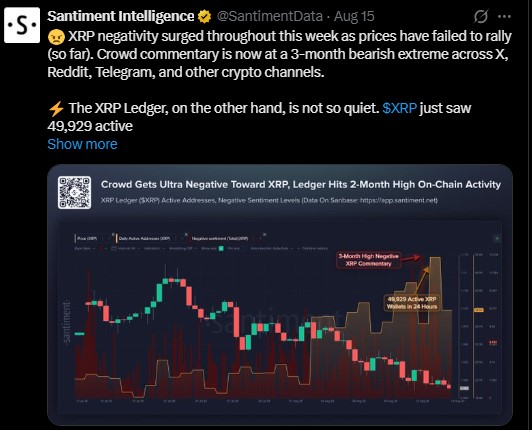 n-Chain Activity Tells a Different Story