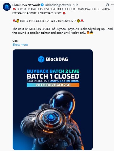 BATCH 1 CLOSED. BATCH 2 IS NOW LIVE! BATCH 1 CLOSED. BATCH 2 IS NOW LIVE!