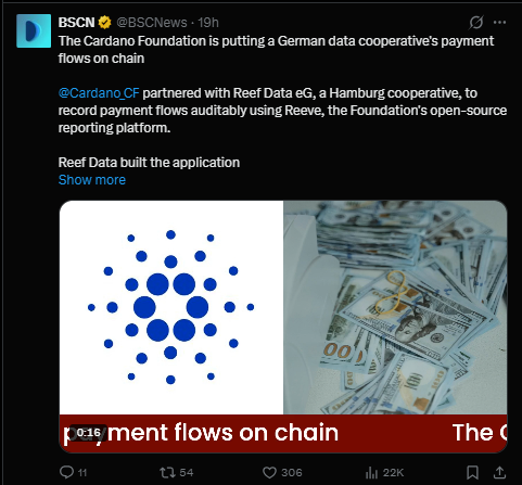 Cardano Latest News