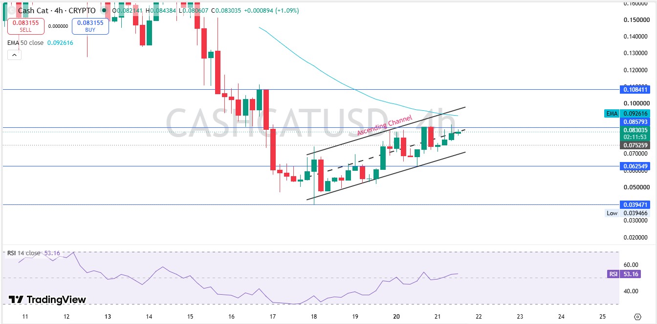 Cash Cat Technical Analysis