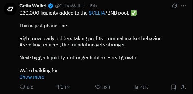 Celia Wallet Liquidity Plan Celia Wallet Liquidity Plan