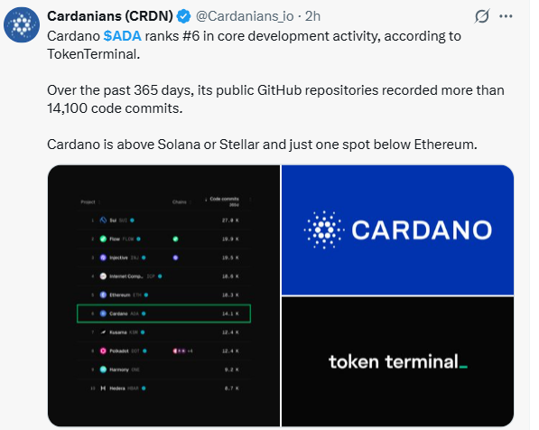 cardano opportunities inside tweet