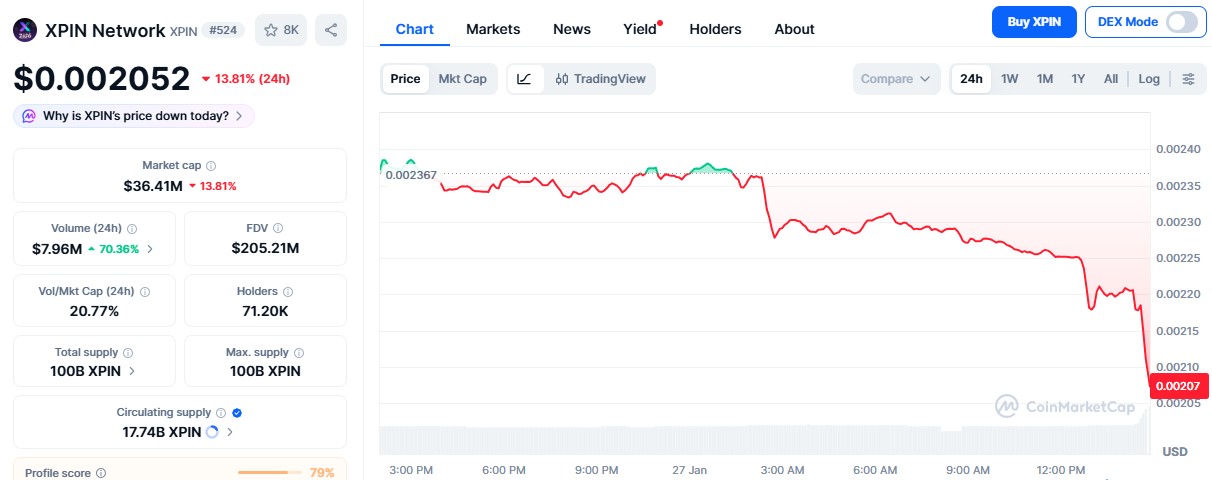 XPIN Price Crash Today