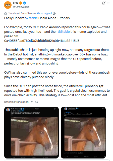 Meme Coins on the Stable Ecosystem
