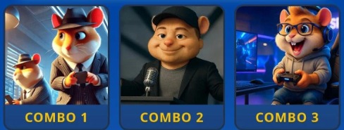 Hamster Kombat Daily Combo