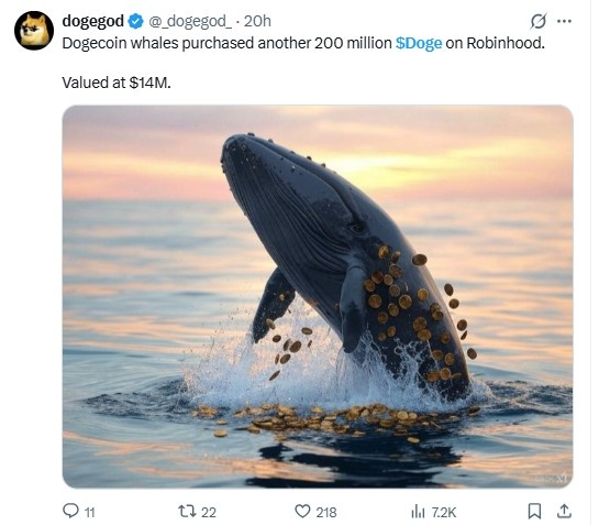 Dogecoin News Today