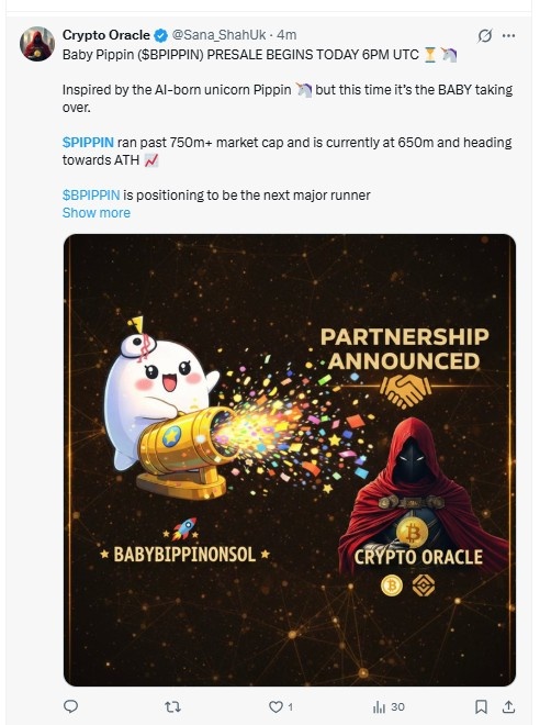 Baby PIPPIN presale announcement inspired by PIPPIN rally and partnership update Baby PIPPIN presale announcement inspired by PIPPIN rally and partnership update