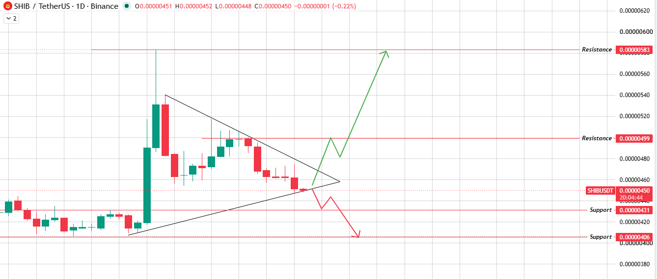 Daily Chart Analysis for Shiba Inu