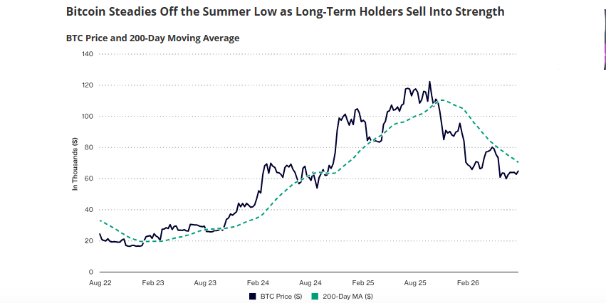 VanEck Bitcoin long term look