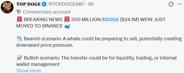 Dogecoin News: $24M Whale Transfer to Binance Splits Opinion