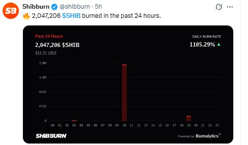Shiba Inu News: Shibburn Update