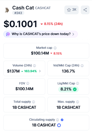 Cash Cat price today market cap and trading volume