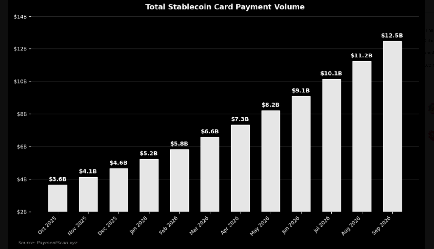 Stable coin PaymentScan Data