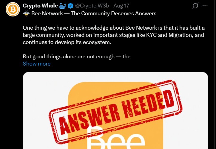 Bee Network News Today