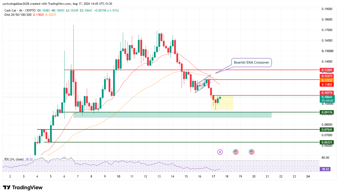 Cash Cat Chart Analysis Cash Cat Chart Analysis