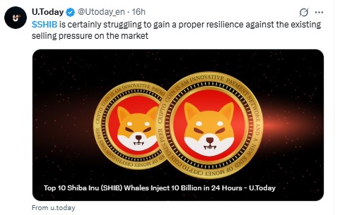 Shiba Inu News Today
