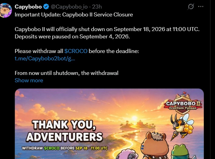 Capybobo Token News: What Happened to Capybobo II?