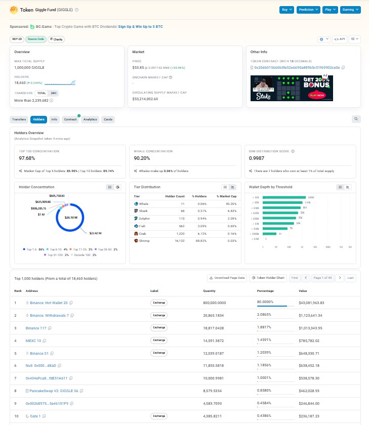 Tokenomics And Whale Concentration