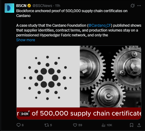 Cardano news today