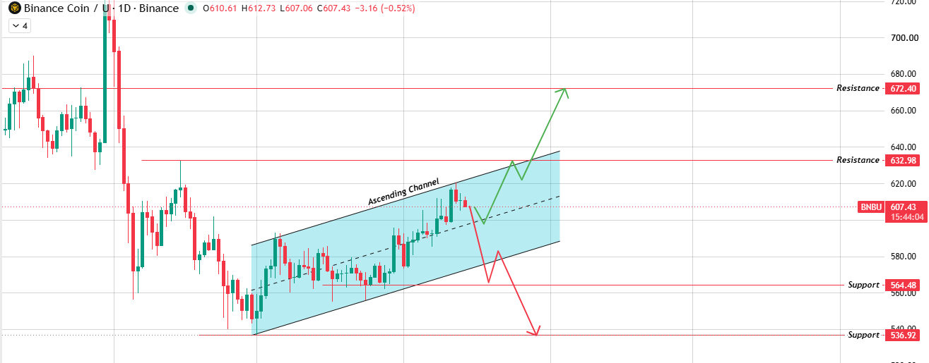 Daily Chart Analysis