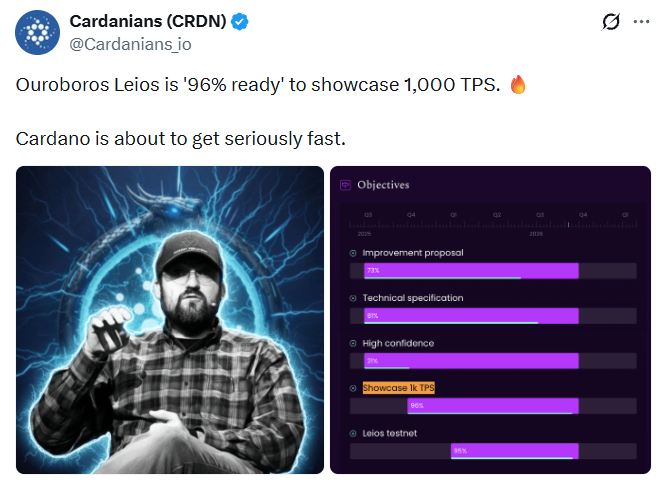 Leious Upgrade near completion