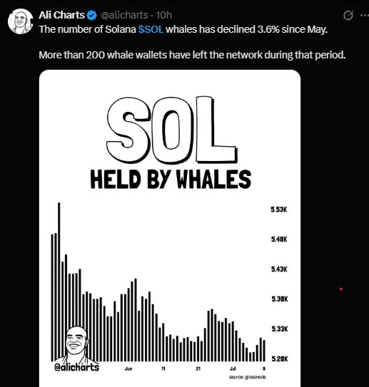 Solana whales have dropped 3.6% since May Solana whales have dropped 3.6% since May