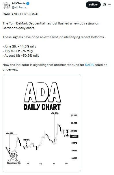 Cardano News Analysis