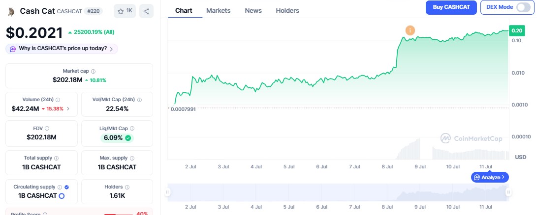 Cash Cat Price chart