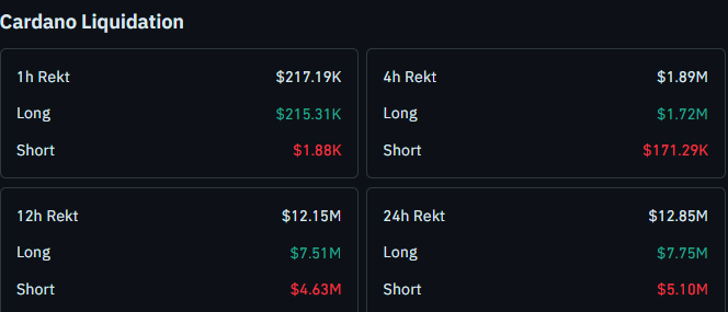 Cardano liquidation data 