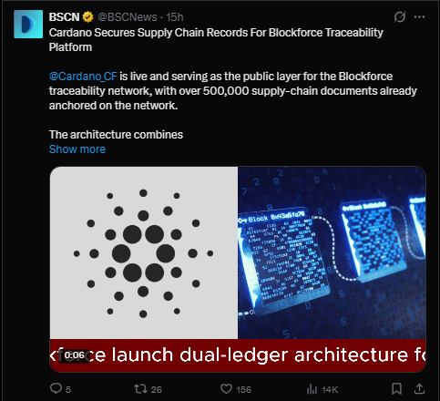 Cardano latest news