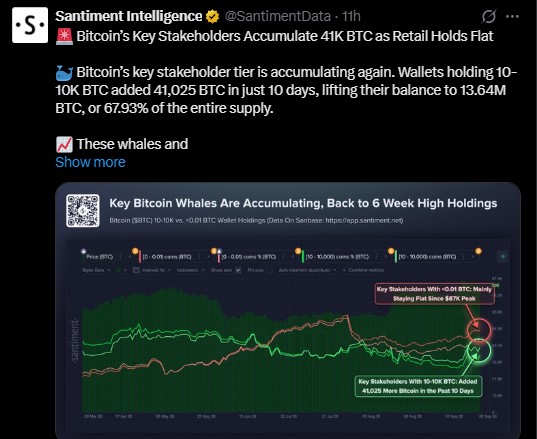 Are Whales Buying BTC Right Now