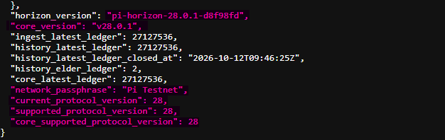 Pi Network Protocol 28 Pi Network Protocol 28