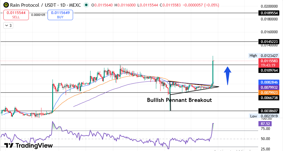 Rain Protocol USDT daily chart showing bullish pennant breakout pattern